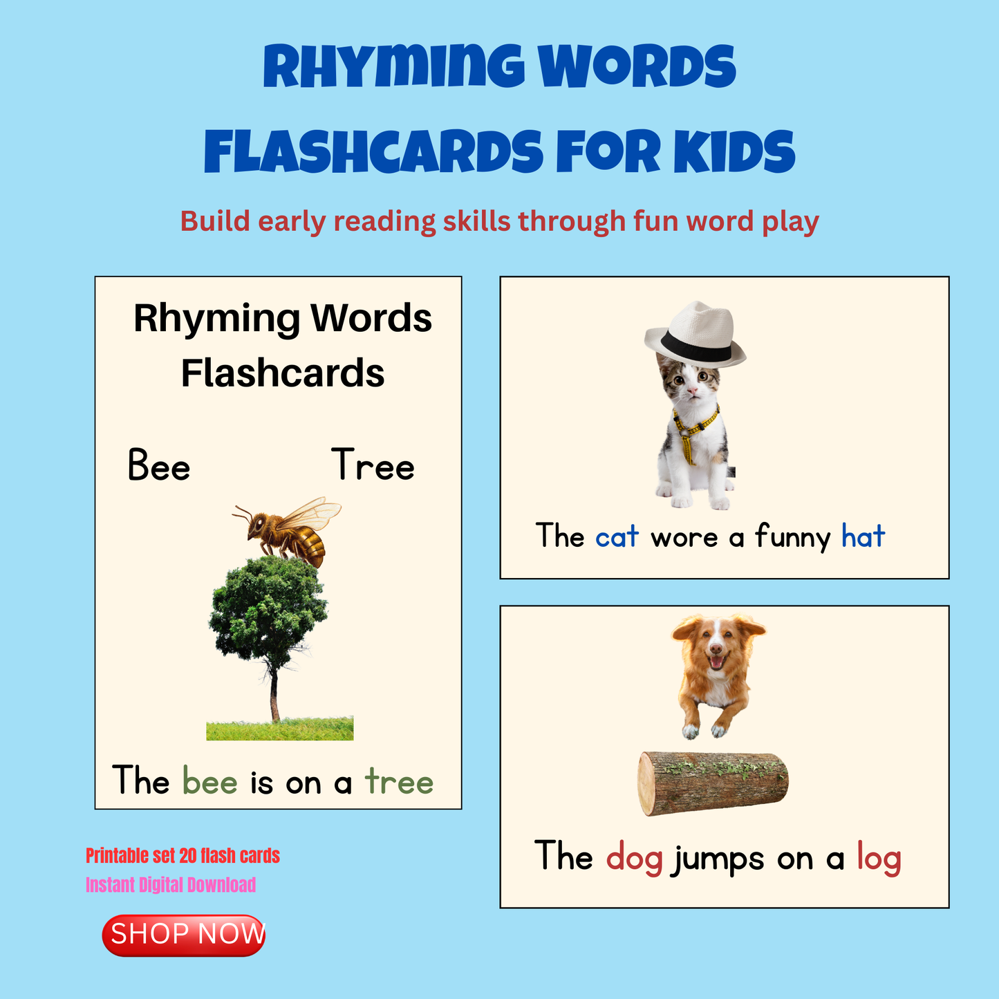 Rhyming Words Flashcards with Fun Sentences – Early Reading Practice for Kids Printable \ Digital Download